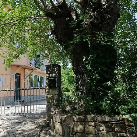 Murva Apartment Koper Exterior photo