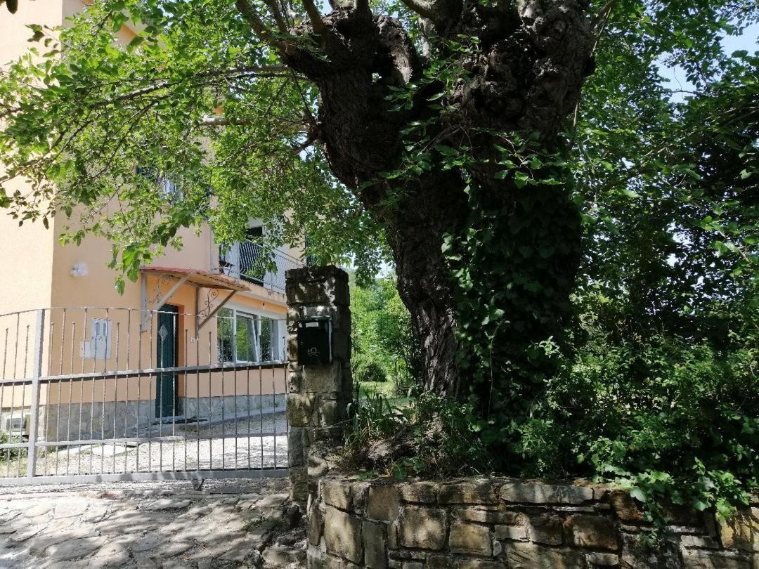 Apartment Murva