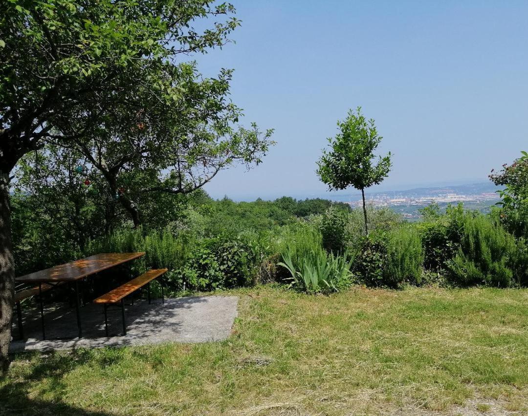 Murva Apartment *